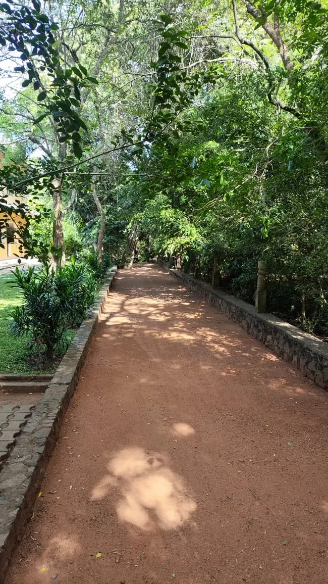 Shaded red-earth path through a wooded meditation site